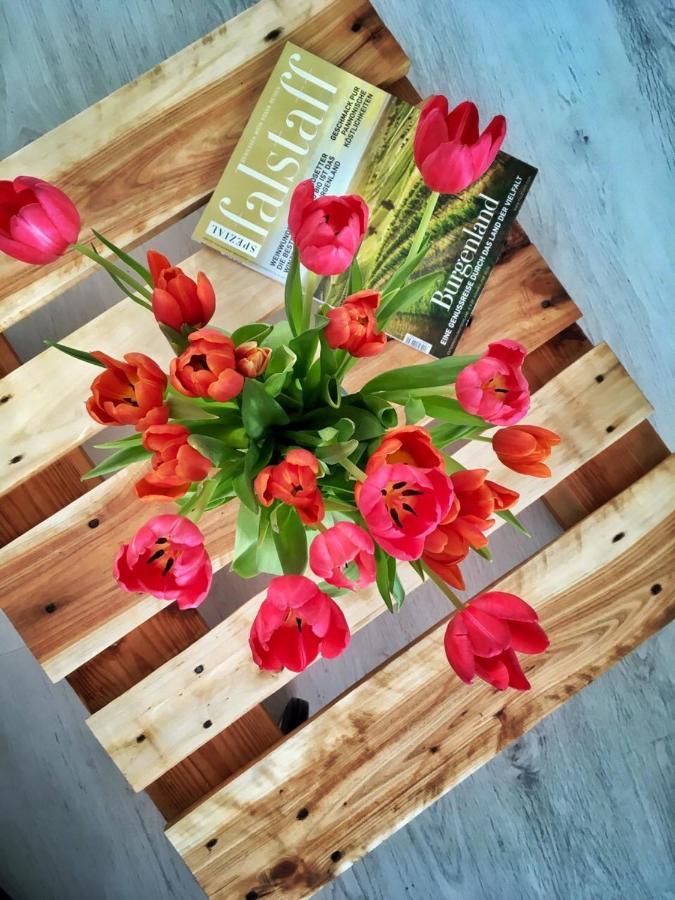 Elizabeth Garden Premium Apartment Kecskemét Zewnętrze zdjęcie