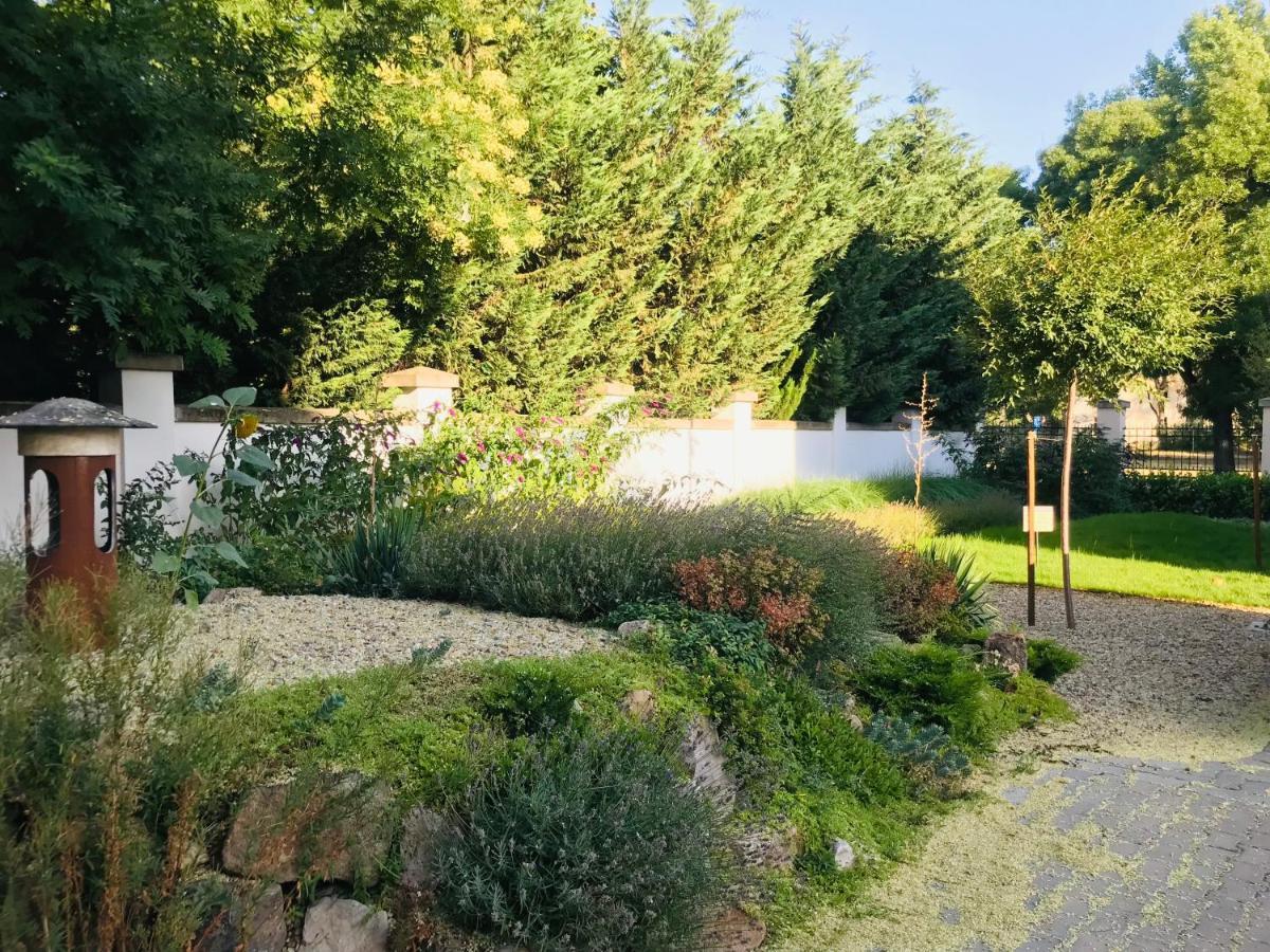 Elizabeth Garden Premium Apartment Kecskemét Zewnętrze zdjęcie